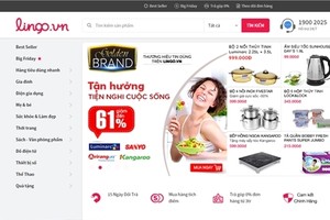 Lingo.vn được cho là đã đóng cửa sau khi không được nhà đầu tư tiếp tục rót vốn do trang web kinh doanh không hiệu quả.