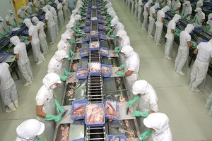 VHC: Xuất khẩu tháng 7 giảm tốc vì thủ tục kiểm nghiệm