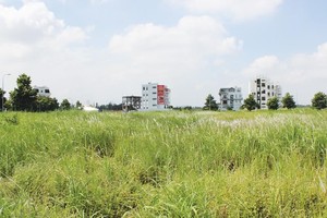 Doanh nghiệp địa ốc hững hờ với nhiều khu “đất vàng” được Thành phố tổ chức đấu giá. Ảnh: Gia Huy