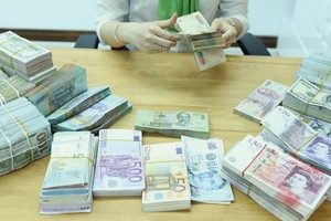 Trong ngắn hạn, những dịch chuyển kinh tế vĩ mô và chính sách trong nước đã và đang là yếu tố quyết định hỗ trợ NHNN chủ động thực thi chính sách tỷ giá