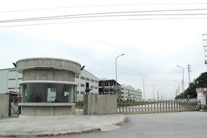 Khu công nghiệp Việt Hòa - Kenmark đang bị bỏ hoang cùng với khoản vay 67,6 triệu USD của ngân hàng. Ảnh: Đức Thanh