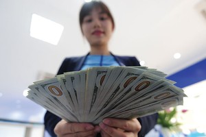 Thị trường ngoại hối trong nước hiện đang ổn định, nguồn cung ngoại tệ dồi dào 