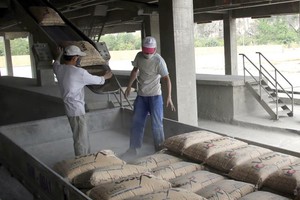 Thị trường xi măng Việt Nam hiện đang dư cung. Ảnh: Đức Thanh