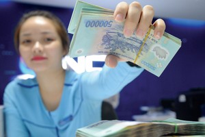 Các ngân hàng ít có khả năng tự xử lý nợ xấu, nên cần sự hỗ trợ từ các nguồn tài chính công