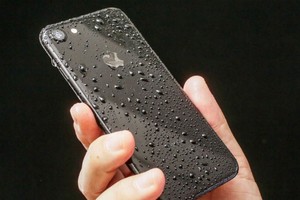 iPhone 7 năm nay không được ưa chuộng bằng phiên bản Plus.