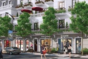 Shophouse thường là sản phẩm được các doanh nghiệp bất động sản lựa chọn khi đầu tư dự án tại các tỉnh, thành nhỏ