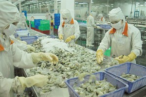 Các doanh nghiệp xuất khẩu trong nước cần lưu ý trong thực hiện Quy tắc xuất xứ FTA VN-EAEU, có hiệu lực từ 5/10/2016 tới đây.