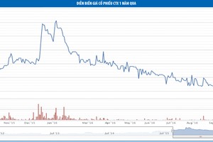 Constrexim: Áp lực thanh khoản và nỗi lo hiệu quả kinh doanh