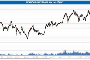 Chứng khoán tăng điểm có bóng dáng của P-Notes