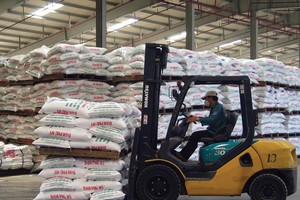 Việc nhập khẩu phân bón ồ ạt khiến nhiều nhà máy trong nước gặp khó khăn. Ảnh: Đức Thanh
