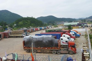 Hạng mục bãi xe và giám sát hàng hóa xuất nhập khẩu do ông Trần Minh Công đầu tư.