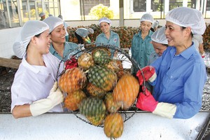 Doanh nghiệp lạc quan với triển vọng kinh doanh cuối năm