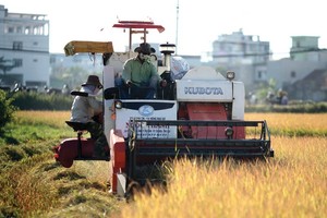 Phú Yên đặt mục tiêu thu hút nhiều nguồn vốn, nhân lực, công nghệ chất lượng cao trong và ngoài nước vào phát triển lĩnh vực nông nghiệp ứng dụng công nghệ cao. Ảnh: Đức Thanh