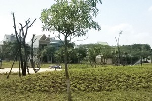 Việc nâng diện tích để được tách thửa, chia lô gây khó khăn cho một số dự án đất nền tại quận 9, TP. HCM. Ảnh: Vệt Dũng