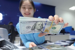 Tỷ giá vẫn là vấn đề được các nhà đầu tư quan tâm, song không phải là mối lo ngại và rào cản lớn nếu có cơ hội tốt