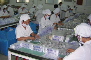 Quý III, DCL lãi ròng 13,3 tỷ đồng