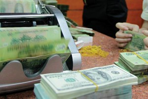 Quốc hội sẽ xem xét việc đấu giá nợ xấu của VAMC.