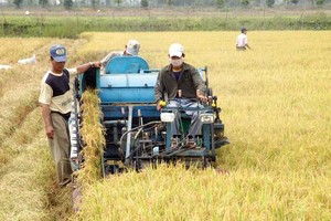 FDI vào nông nghiệp: Dự án ít, vốn thấp 