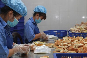 Nên tập trung vào các biện pháp hỗ trợ nhằm nâng cao chất lượng hoạt động và năng lực cạnh tranh, từ đó sẽ giúp DNNVV tiếp cận vốn vay với lãi suất thấp