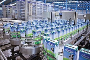 Vì sao SCIC phải chia nhiều lô cổ phiếu VNM thoái vốn?