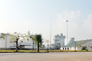 Vấn đề cấp thiết hiện nay là các bộ, ngành hữu trách và bản thân lãnh đạo doanh nghiệp, ban quản lý dự án phải đồng lòng, đồng sức tìm hướng khắc phục, có lộ trình cụ thể, không để công việc bị trì hoãn