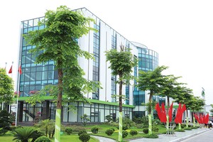 NTP: Bùng nổ từ khi lên niêm yết