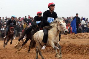 Ký kết MOU dự án trường đua ngựa quốc tế 1,5 tỷ USD ở Vĩnh Phúc