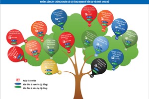 Công ty chứng khoán sẽ chuyển biến mạnh từ năm 2017