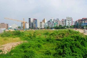 Việc cấp quyền sử dụng đất cho hộ gia đình mà thiếu thông tin thành viên đang làm khó các ngân hàng