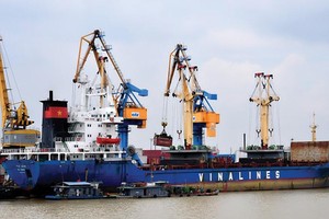 Cổ phần hóa Vinalines, Nhà nước sẽ nắm giữ 65% vốn điều lệ tại Công ty mẹ