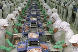 VHC: Lợi nhuận công ty mẹ tăng 70%