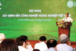 Nội hàm hết sức sâu sắc của Chính phủ liêm chính, kiến tạo