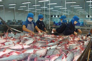 Thủy sản Vĩnh Hoàn có nguy cơ bị lừa gần 60.000 USD 