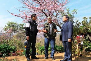 Đánh thức… khởi nghiệp