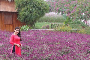 Ngày mới luôn tươi