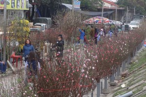 Vào những ngày giáp Tết, người dân đổ xô ra các chợ hoa để mua sắm. Ảnh: Tuyết Mai.