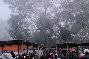 Chợ Nủa nằm trên một khu đất trống thuộc xã Bình Phú (Thạch Thất, Hà Nội) vẫn mang đậm dáng dấp của chợ phiên truyền thống vùng đồng bằng Bắc Bộ.