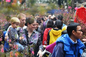 Nhiều du khách chọn du lịch Việt Nam vào dịp Tết Nguyên đán. Ảnh: Dtinews.