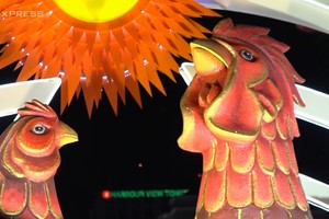 Người dân chen chân xem gà linh vật cất tiếng gáy trên đường hoa Nguyễn Huệ