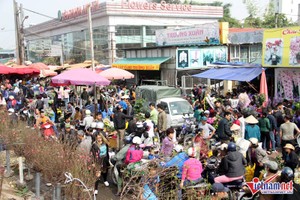Chợ hoa Quảng Bá ngày cuối năm ngập tràn trong sắc hoa với những cành đào thắm, những chậu lan, bó ly nhiều màu sắc.