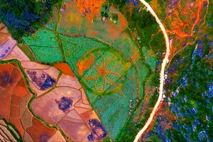 Ngoài cao nguyên đá, Hà Giang còn nổi tiếng với những cánh đồng hoa tam giác mạch. Nhìn từ trên cao, những cánh đồng xanh nổi bật trên nền đất đỏ của vùng núi Hà Giang tạo thành những mảng màu rất đẹp mắt.