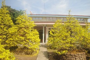 Đối với người dân phương Nam, ba ngày Tết, trong mỗi gia đình dù giàu hay nghèo, ít nhất cũng có cây mai, như niềm hy vọng, ước nguyện cho năm mới được nhiều phúc, lộc