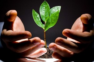 Cơ hội đầu tư vào cổ phiếu ngành nông nghiệp