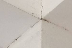 Những vết nứt tại căn hộ của Chung cư giá rẻ Đặng Xá