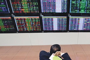 Trong số cả nghìn cổ phiếu niêm yết và đăng ký giao dịch trên sàn hiện nay, chỉ có vài chục mã nhận được sự quan tâm của nhà đầu tư Nhật Bản