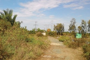 Dự án của Tổng công ty Thái Sơn tại xã Phước Kiển, huyện Nhà Bè, TP.HCM sau nhiều năm triển khai vẫn là bãi đất trống cỏ mọc um tùm. Ảnh: Gia Huy