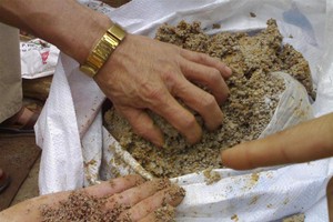 Không ngăn được phân bón giả tràn ngập, Bộ Công thương triển khai cao điểm kiểm tra