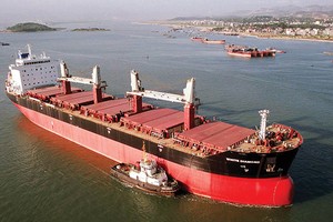 Bảo hiểm hàng hải có dấu hiệu sôi động trở lại