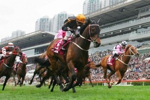 Nhà đầu tư Hàn Quốc chạy đua với dự án trường đua ngựa 500 triệu USD 