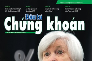 Đầu tư Chứng khoán số 30